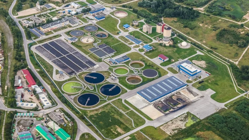 Jak dbać o czystość wód? Oczyszczanie ścieków, segregacja śmieci i las tapeta