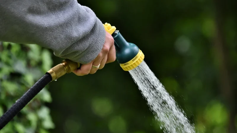 Jak zadbać o ogród w Łodzi? Oto cennik zakładania i pielęgnacji