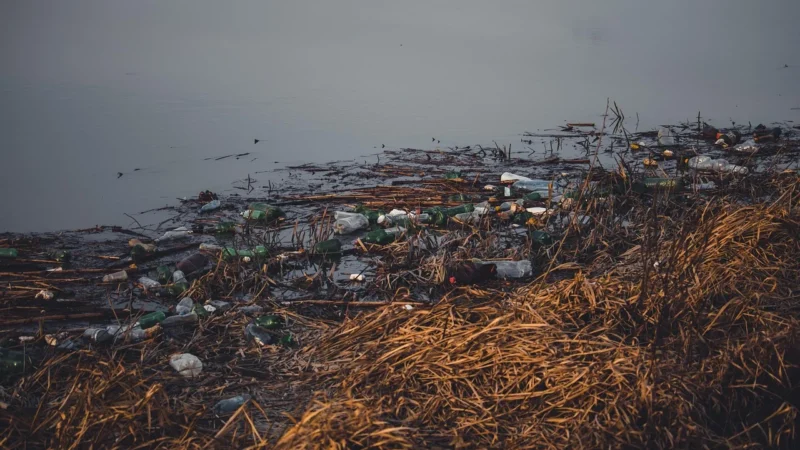 Wpływ odpadów na środowisko naturalne