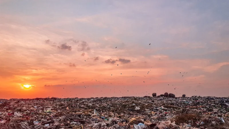 Wpływ problemu odpadów na środowisko naturalne
